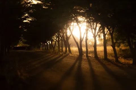 Foggy Road 4K Wallpaper · nature · 3840×2553