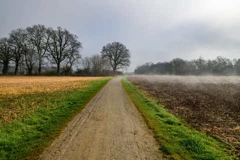 Fond d'écran Route brumeuse 4K · nature · 3840×2560