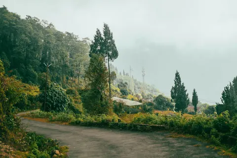 Fondo de pantalla Carretera con niebla 4K · nature · 3840×2563
