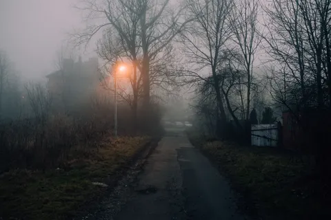 Foggy Road 4K Wallpaper · nature · 3840×2560