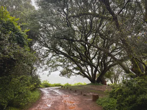 Fondo de pantalla Carretera con niebla 4K · nature · 3840×2880