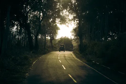 Fondo de pantalla Carretera con niebla 4K · nature · 3840×2560