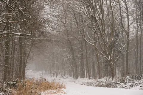 Neblige Straße 4K Hintergrundbild · nature · 3840×2559