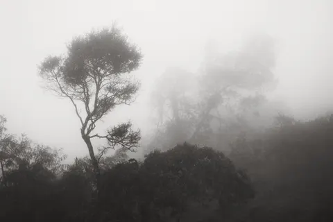Fondo de pantalla Carretera con niebla 4K · nature · 3840×2560