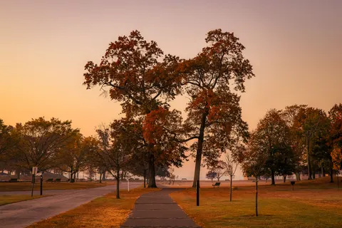 Neblige Straße 4K Hintergrundbild · nature · 3840×2561