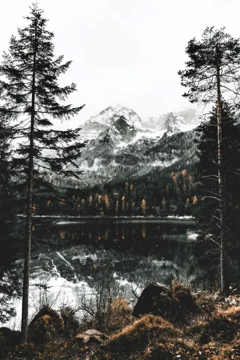 Sắc Thái Nghệ Thuật Hình Nền Điện Thoại · aesthetic · 1440×2160