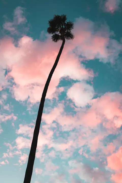 Nastrojowa estetyka Tapeta na Telefon · aesthetic · 1440×2160