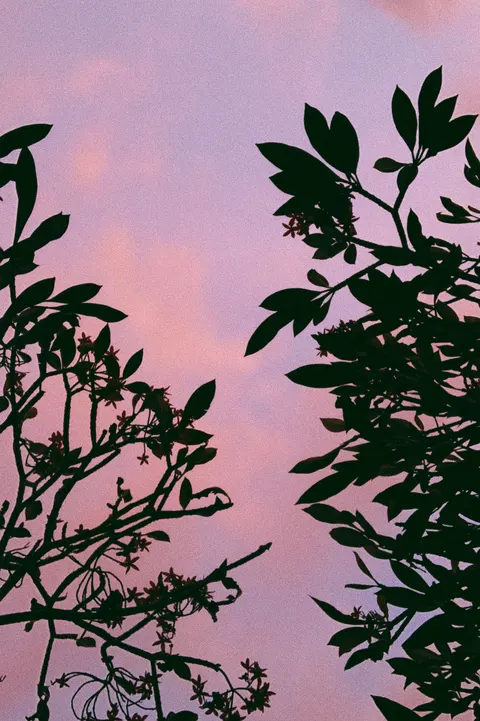 أجواء جمالية خلفية للجوال · aesthetic · 1440×2164
