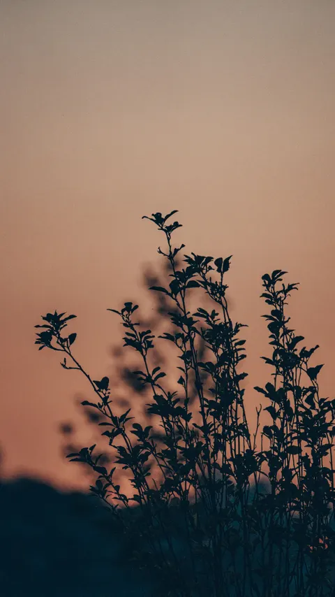 Clima Estético Papel de Parede para Celular · aesthetic · 1440×2561