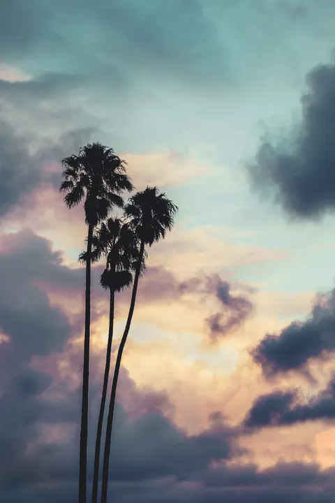 Ästhetische Stimmung Handy-Hintergrundbild · aesthetic · 1440×2160