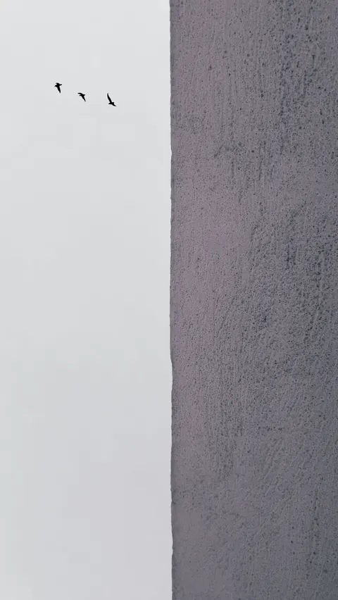 Fondo de Pantalla para Móvil Ambiente Estético · aesthetic · 1440×2559