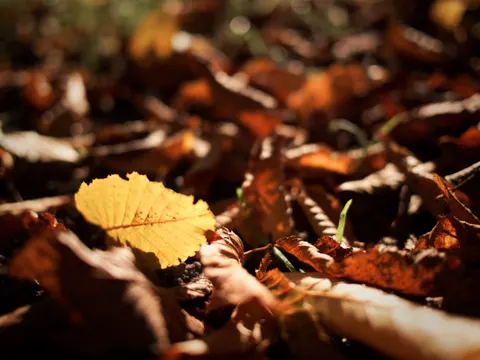Fond d'écran Nature 4K · nature · 3840×2880