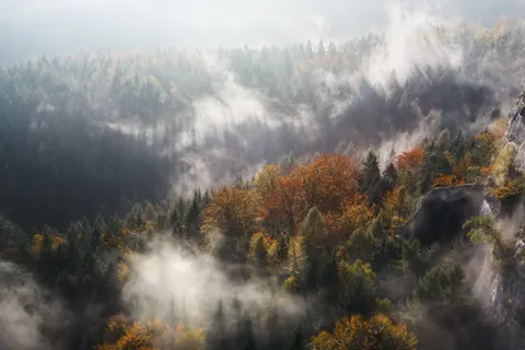 自然 4K壁纸 · nature · 3840×2560