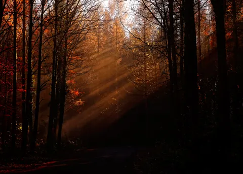 Обои Природа 4K · nature · 3840×2742