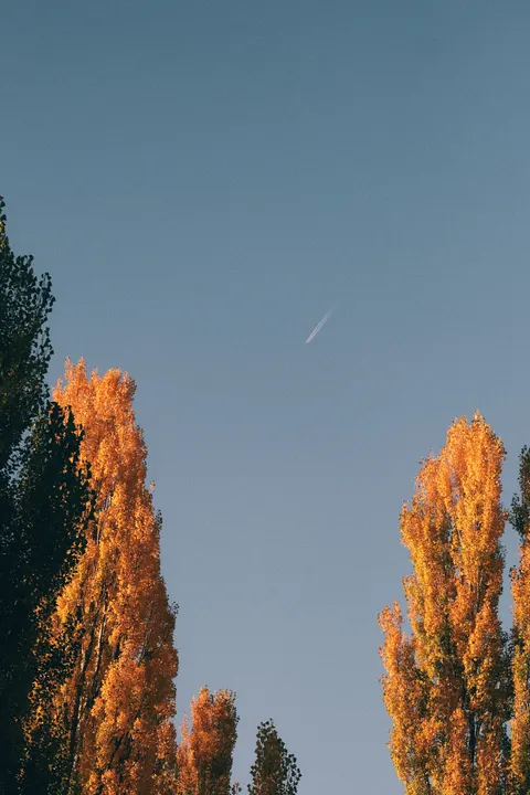 أجواء جمالية خلفية للجوال · aesthetic · 1440×2160
