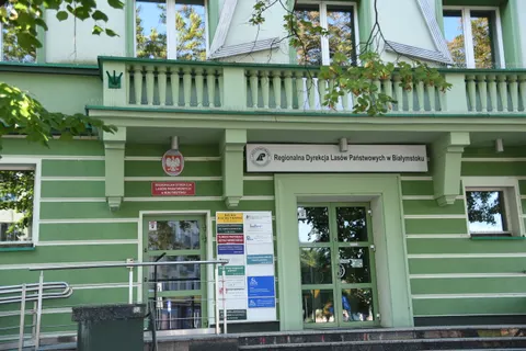 6515 Regional Directorate of State Forests in Białystok Sept 4K Wallpaper · nature · 3840×2560