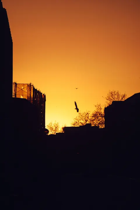 Golden Hour Sfondo per Telefono · aesthetic · 1440×2160