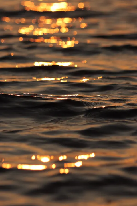 Golden Hour Phone Wallpaper · aesthetic · 1440×2160
