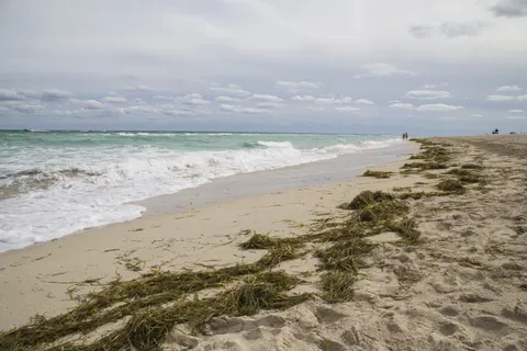 Cloudy beach with wrack and crashing waves 4K Wallpaper · ocean · 3840×2560