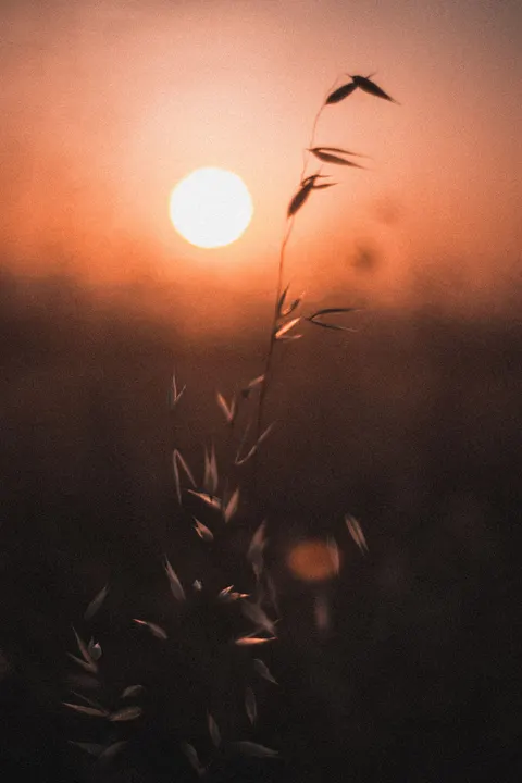 الساعة الذهبية خلفية للجوال · aesthetic · 1440×2160