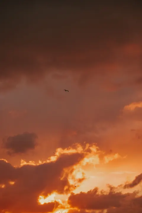 黄金时刻 手机壁纸 · aesthetic · 1440×2160