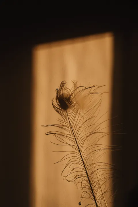Giờ Vàng Hình Nền Điện Thoại · aesthetic · 1440×2160