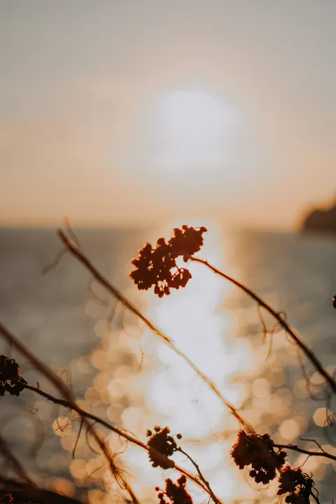 Fondo de Pantalla para Móvil Hora Dorada · aesthetic · 1440×2160