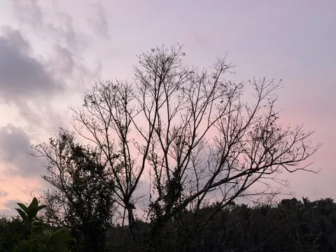 自然 4K壁纸 · nature · 3840×2880