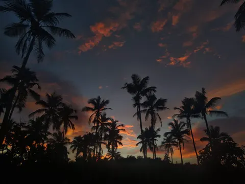 Fond d'écran Nature 4K · nature · 3840×2880