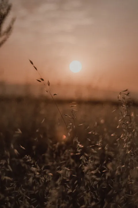 Золотой час обои для телефона · aesthetic · 1440×2160