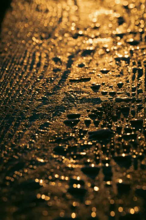 Golden Hour Phone Wallpaper · aesthetic · 1440×2159