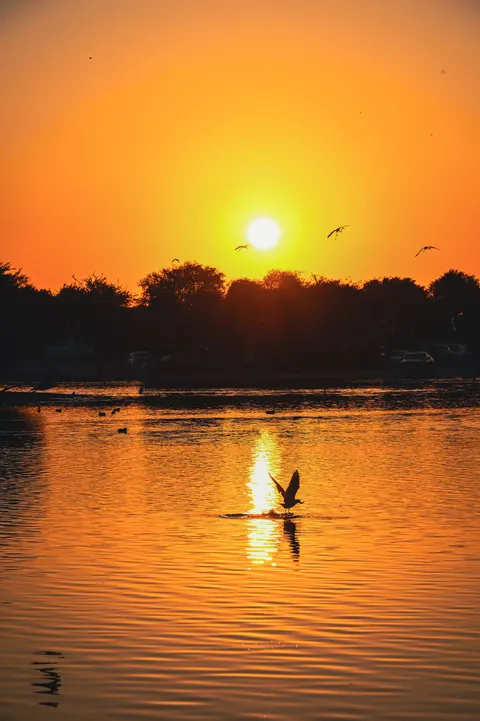 Golden Hour Wallpaper HP · aesthetic · 1440×2164