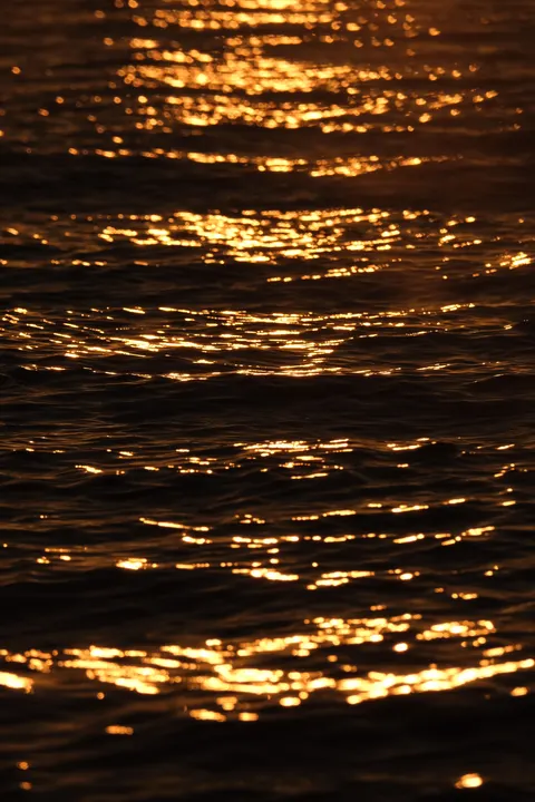 Golden Hour Phone Wallpaper · aesthetic · 1440×2160