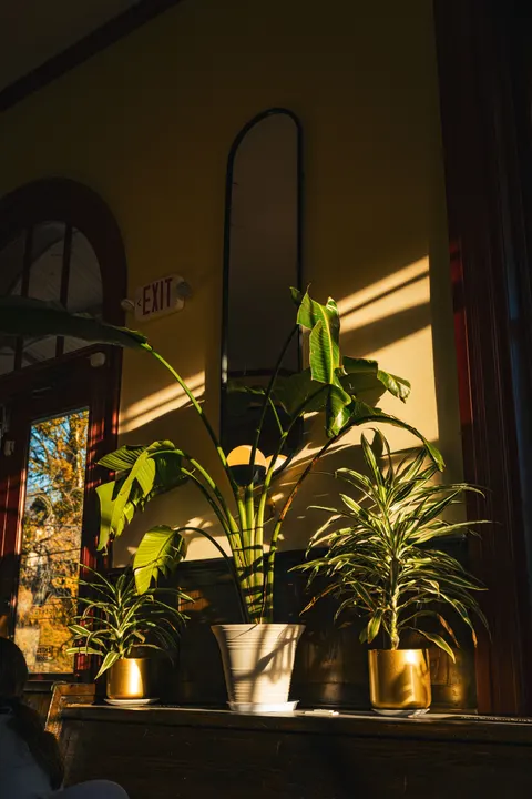 Golden Hour Wallpaper HP · aesthetic · 1440×2160