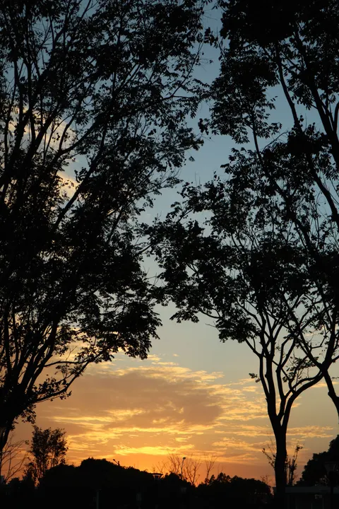 Golden Hour Sfondo per Telefono · aesthetic · 1440×2160