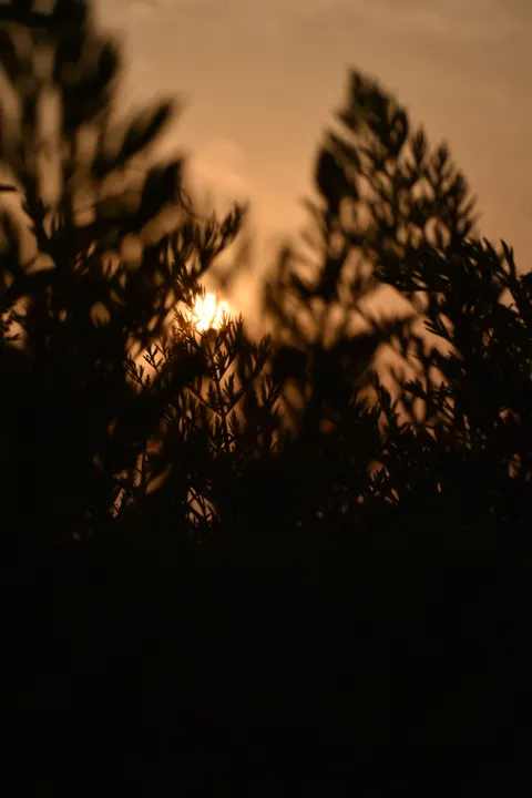 ساعت طلایی والپیپر موبایل · aesthetic · 1440×2160