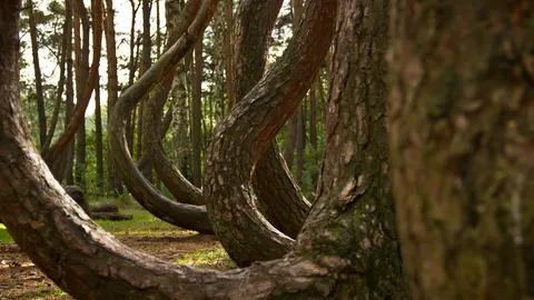 Natur 4K Hintergrundbild · nature · 3840×2160