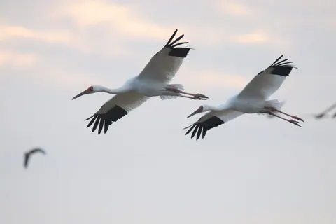 Обои Природа 4K · nature · 3840×2559