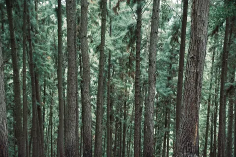 Natur 4K Hintergrundbild · nature · 3840×2560