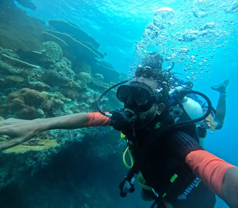 मूंगा चट्टान 4K वॉलपेपर · ocean · 3840×3360