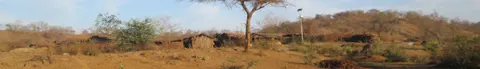WV banner Saurashtra View in Gir Forest National Park 4K Wallpaper · nature · 3840×549