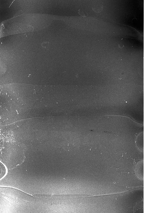 Film-Ästhetik Handy-Hintergrundbild · aesthetic · 1440×2112