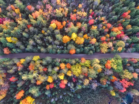 Fondo de pantalla Naturaleza 4K · nature · 3840×2880