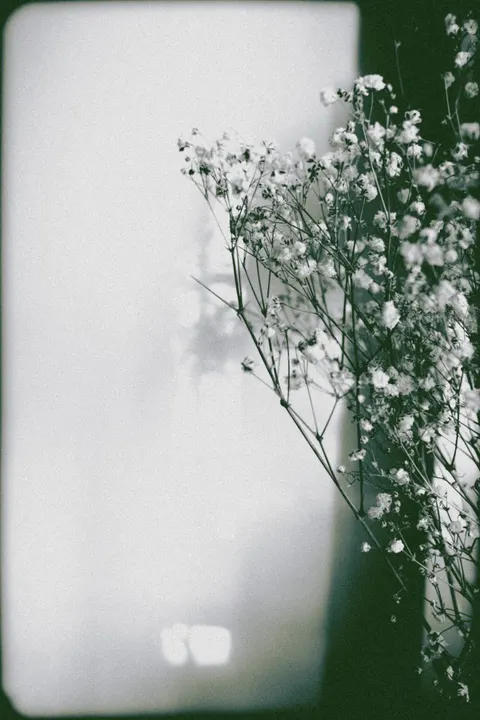 Film Aesthetic Phone Wallpaper · aesthetic · 1440×2160