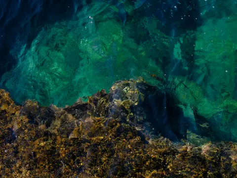 मूंगा चट्टान 4K वॉलपेपर · ocean · 3840×2880