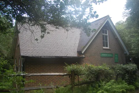 Forest Hall, Dodd's Bank, Nutley (August 2021) (4) 4K Wallpaper · nature · 3840×2560