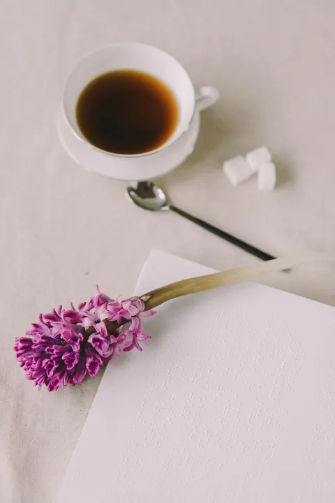 Soft Still Life Phone Wallpaper · aesthetic · 1440×2160