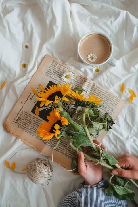 Soft Still Life Phone Wallpaper · aesthetic · 1440×2160