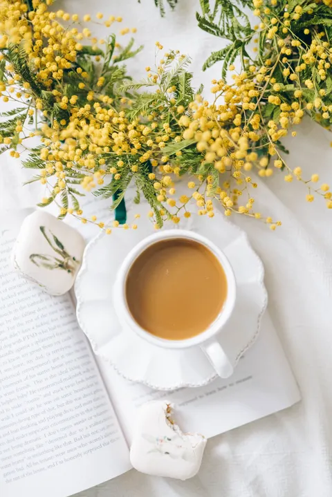 Still Life Lembut Wallpaper HP · aesthetic · 1440×2157