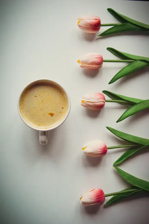 Fond d'écran mobile Nature Morte Douce · aesthetic · 1440×2166